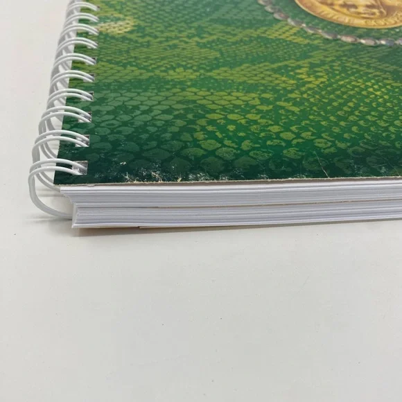 Upcycled Alice Cooper Record Album Notebook Handmade - Picture 2 of 6